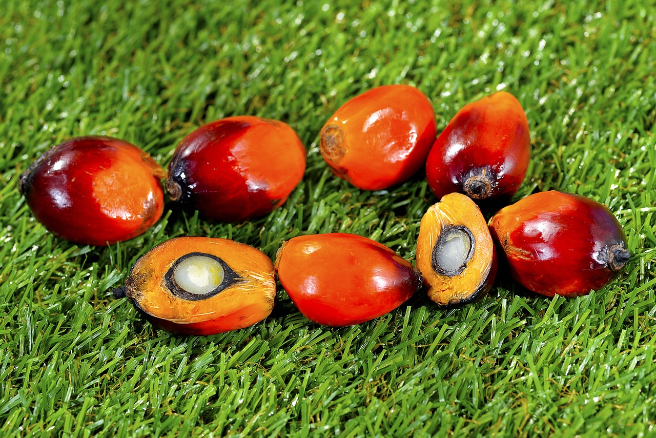 Palm kernel oil